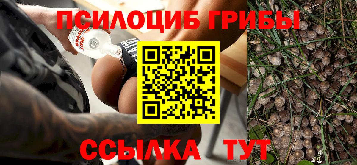 Псилоцибиновые грибы Magic Shrooms  Вход с VPN  Ростов Великий  Галлюциногенные грибы Magic Shrooms 